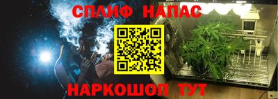 эйфоретик Бузулук