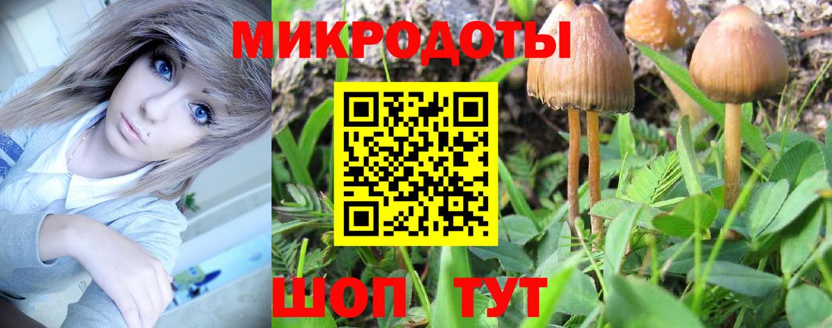 Галлюциногенные грибы прущие грибы  Вход с VPN  наркота  Ялуторовск 